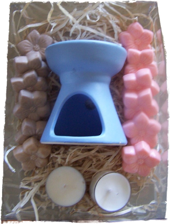 Mini Soy Melts Pack 1 Mini Soy Melts Pack 1